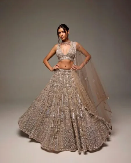 Net embroidered lehenga
