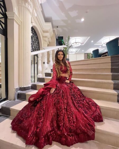 Red Embellished net lehenga choli with heavy embroidery and sequins work