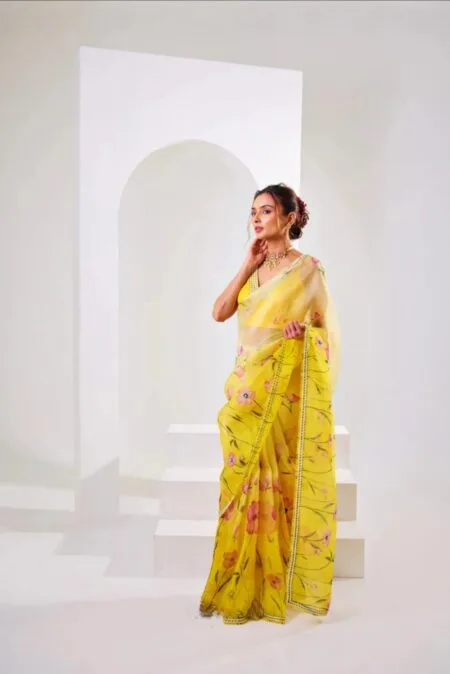 Soft organza Tebby silk saree with floral print and handwork khatli work