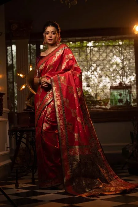 Soft Banarasi Silk Saree with all over colourfull meena Weaves Pattern and Contrast border with tassels