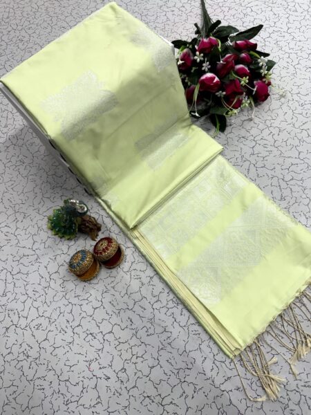 Arani soft silk saree with silver zari