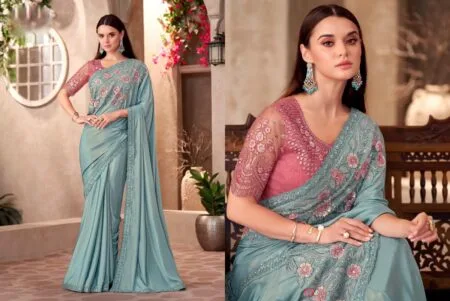 Shimmer Silk Saree With Linen Blouse