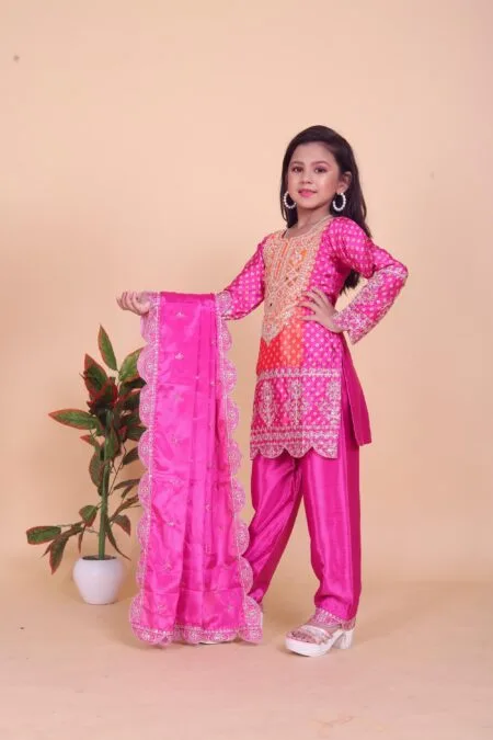 Designer Chinon Embroidered 3-Piece Set – Ready to Wear
