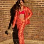 Pink Banarasi Blazer Pant Suit set